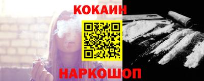 шишки Новодвинск