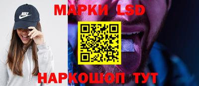 шишки Новодвинск