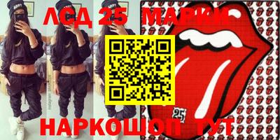 шишки Новодвинск