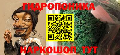 шишки Новодвинск