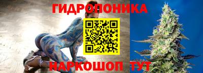 шишки Новодвинск