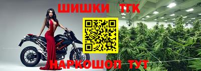 ECSTASY Новозыбков