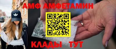 шишки Новодвинск
