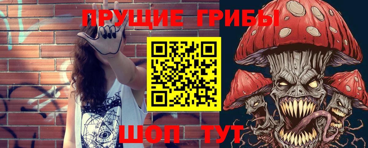 Галлюциногенные грибы Psilocybine cubensis  Вход с VPN  Сальск 