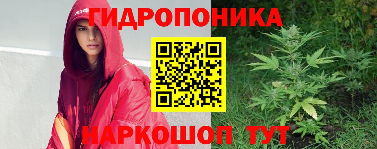 Сальск  Каннабис SATIVA & INDICA  Бошки Шишки марихуана  Вход с VPN  МАРИХУАНА гибрид 
